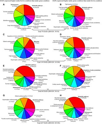 Integrated Analysis of Transcriptome and Proteome to Reveal Pupal Color Switch in Papilio xuthus Butterflies